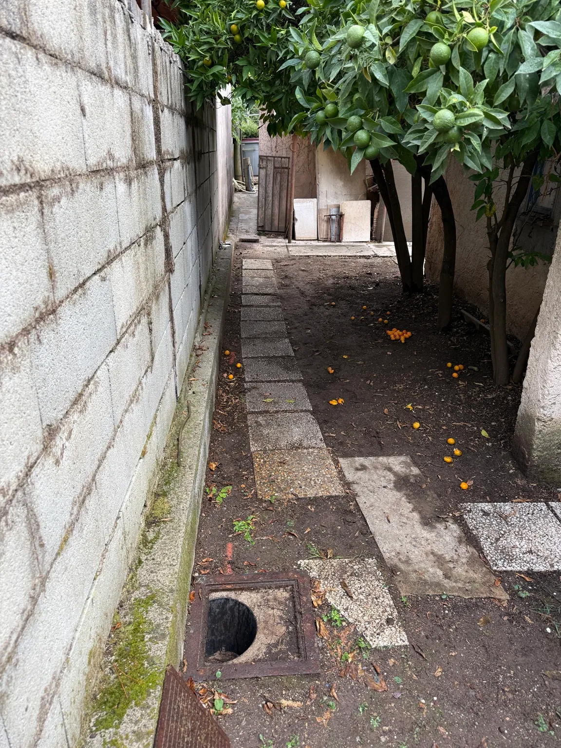 Regard ouvert dans le jardin du chantier de Biot