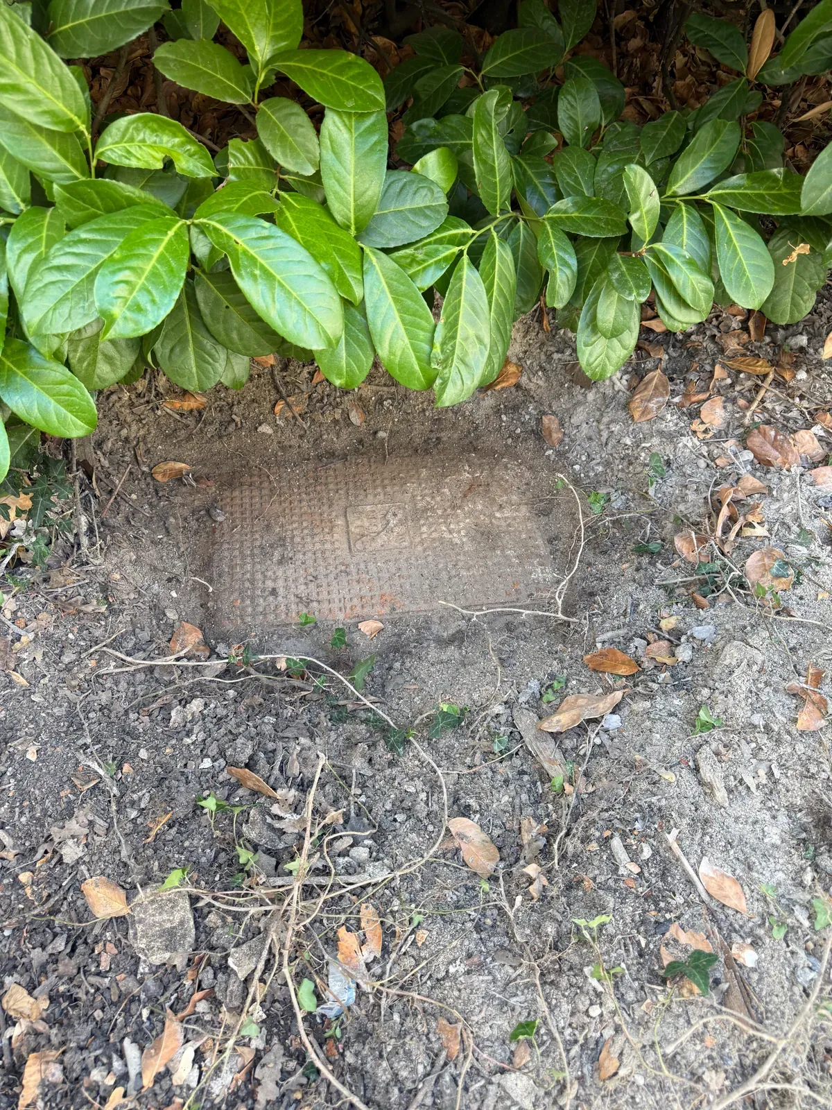 Couvercle du regard télécom retrouvé sous la terre au pied d'une haie à Mougins