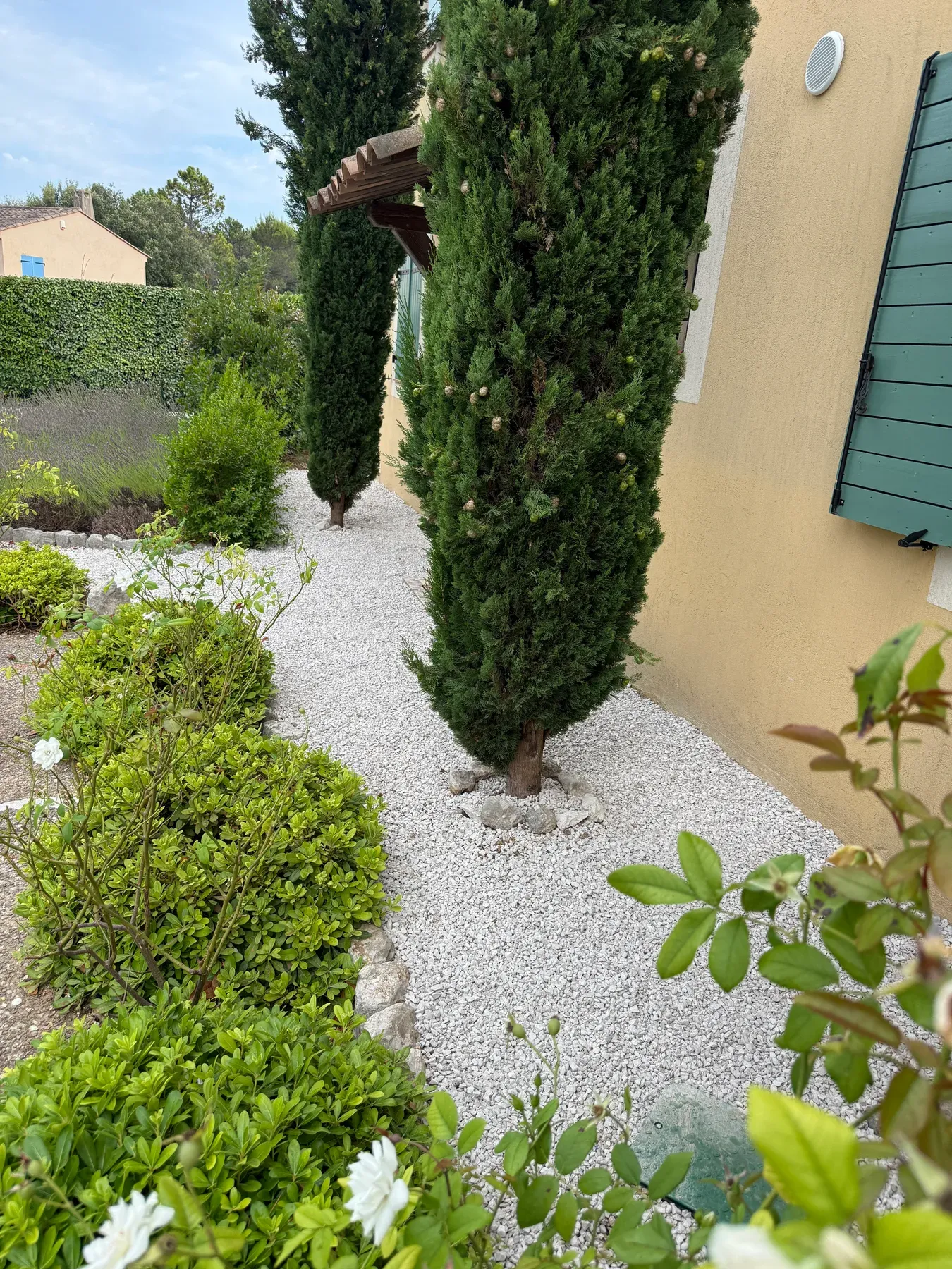 Jardin remis en état après le remplacement d'une canalisation d'eau enterrée à Biot